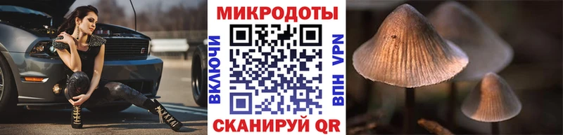 Галлюциногенные грибы Cubensis  Канаш 