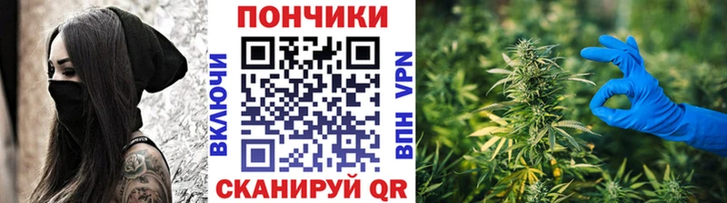 МЕГА как зайти  площадка Telegram  Канабис ГИДРОПОН  Канаш 